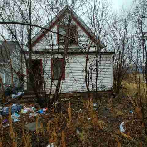 8031 conger (65).jpg